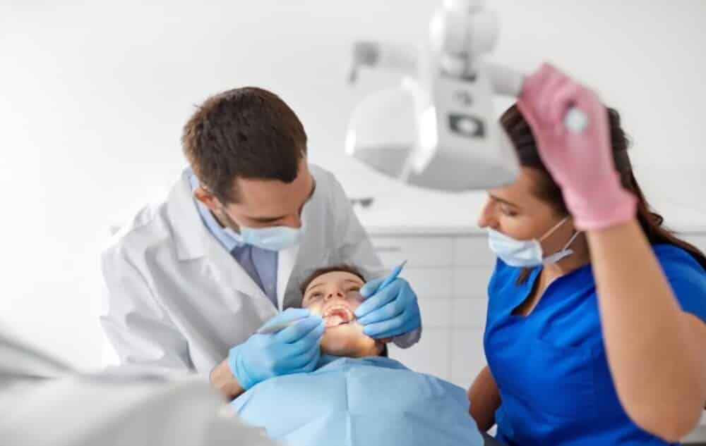 dentist majors in college