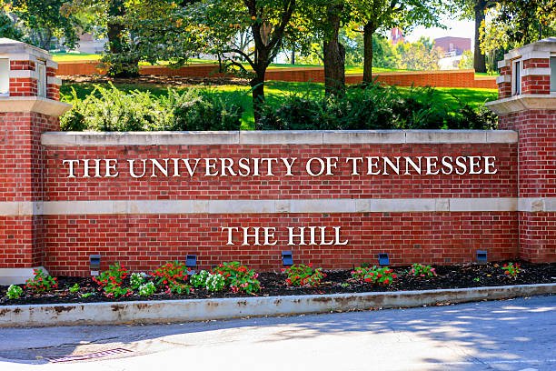 university of tennessee scholarships